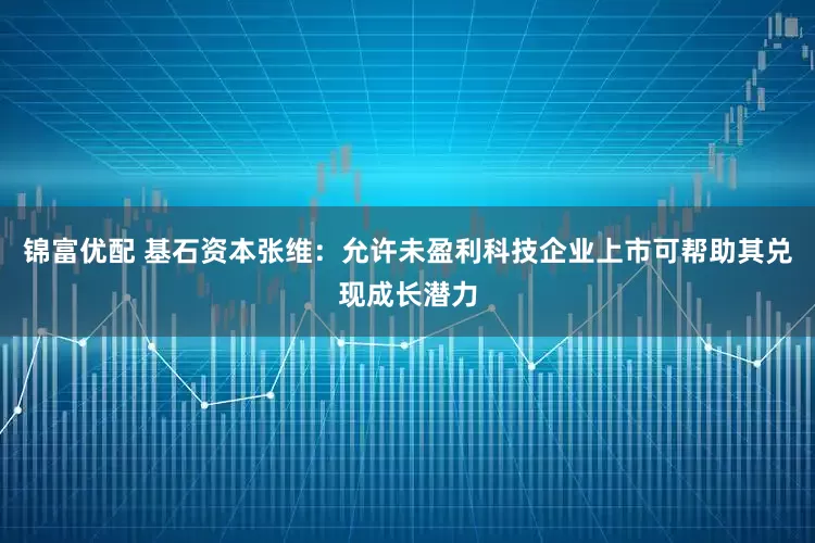 锦富优配 基石资本张维：允许未盈利科技企业上市可帮助其兑现成长潜力