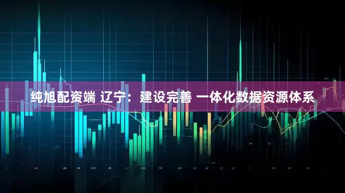 纯旭配资端 辽宁：建设完善 一体化数据资源体系