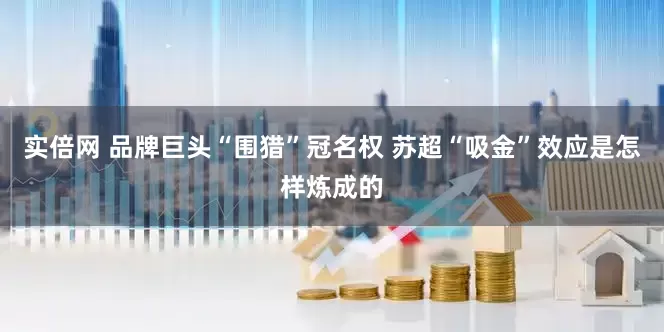 实倍网 品牌巨头“围猎”冠名权 苏超“吸金”效应是怎样炼成的