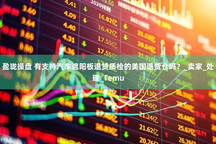 盈珑操盘 有支持汽车遮阳板退货质检的美国退货仓吗？_卖家_处理_Temu