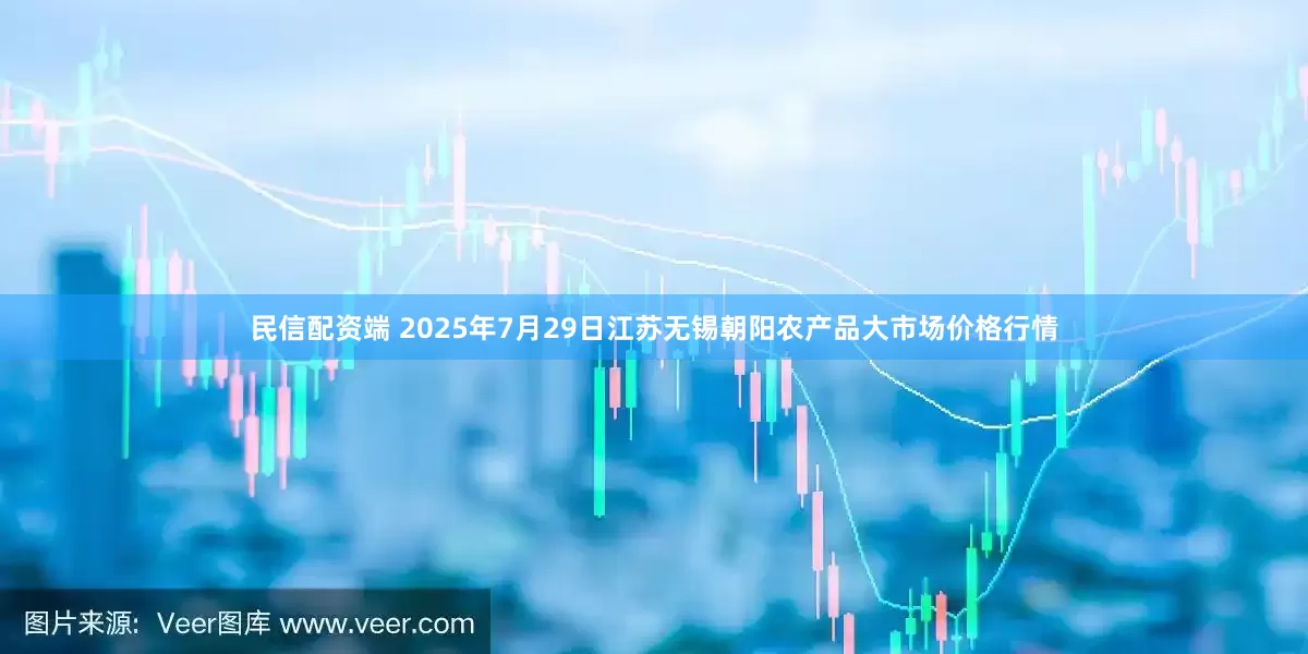 民信配资端 2025年7月29日江苏无锡朝阳农产品大市场价格行情